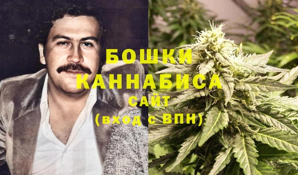 мдпв Вязьма